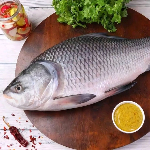 Katla Fish (Medium Size) Ice - (1.5kg to 3 kg) Ice