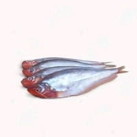 Pabda Fish  - (250gm/Pcs) Ice