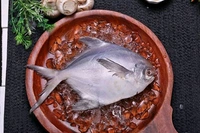 Pomfret/Pamplet/Paplet Fish - (150 gm to 200 gm)