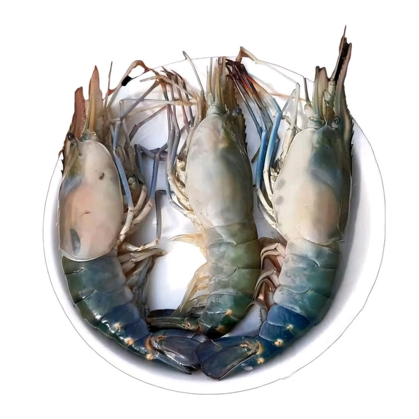 Golda/Big Prawn/Chingri/Shrimp - (120gm to 200gm) Ice