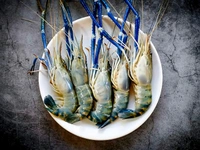 Golda/Big Prawn/Chingri/Shrimp - (120gm to 200gm) Ice