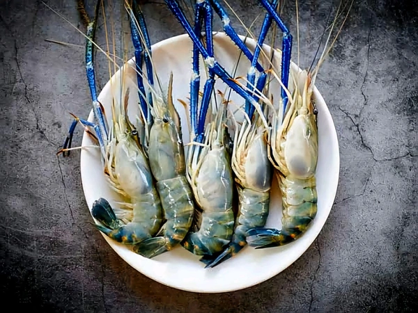Golda/Big Prawn/Chingri/Shrimp - (120gm to 200gm) Ice
