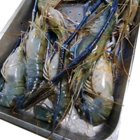 Golda/Big Prawn/Chingri/Shrimp - (120gm to 200gm) Ice