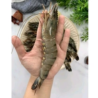 TIGER PRAWNS  - 1 Kg ( 10-12 Counts)