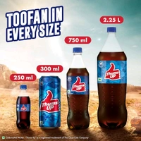 Thums Up Soft Drink Can, 300 ml