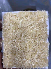 KARTIK MOGRA 1KG - 1KG