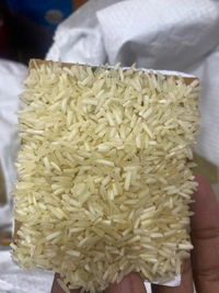 AVYUKT STANDARD 1KG - 1KG