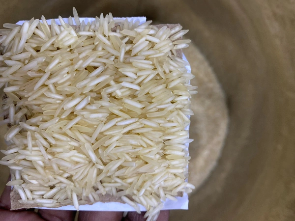 AVYUKT PREMIUM 1KG - 1KG