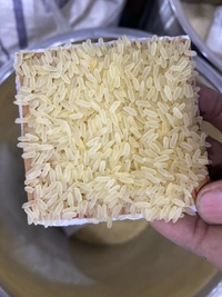 TAJMAHAL 1KG - 1KG