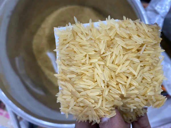 GOLDEN CHABHI 1KG - 1KG