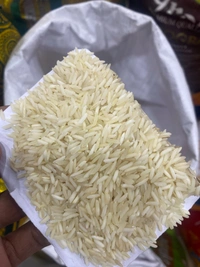 CIBER CITI MADHUMATI 1KG - 1KG