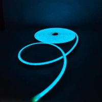 Multi colour Neon light 12v - Multicolour