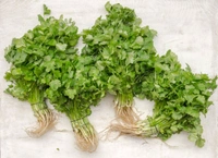Coriander  - 1kg