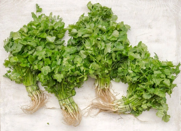Coriander  - 1kg