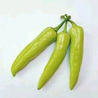 Pakora Chilli - 250gm