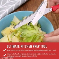 Five Layer Blade Of Stainless Steel For Chopping.