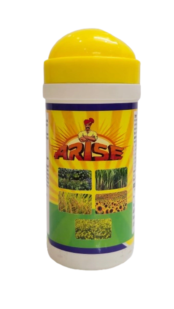 ARISE - 400 GRAM