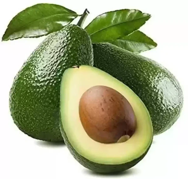 Avocado - Imported, Medium - 1PC