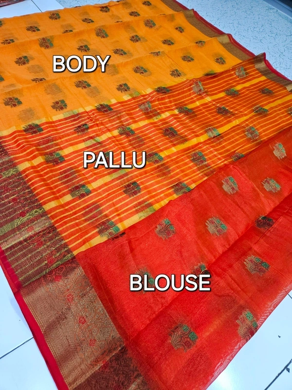 BollyWood 1 - 6.10mtr