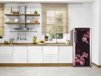 LG 190L 3 Star Direct-Cool Single Door Refrigerator (GL-B201ASPD, Scarlet Plumeria, Fastest Ice Making) - Hiranagar Kathua, Credit & Debit Card Accepted