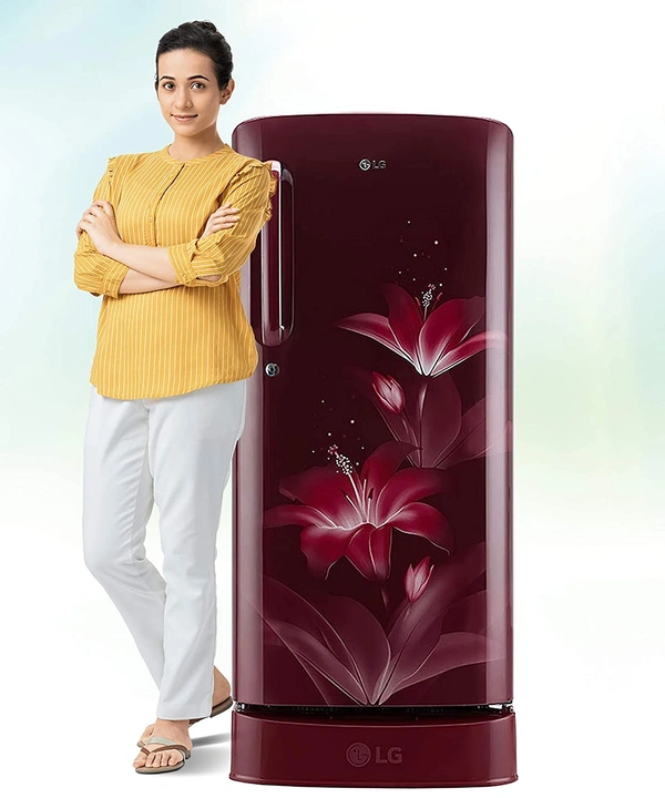 LG 190 L 4 Star Inverter Direct-Cool Single Door Refrigerator (GL-D201ARGY, Ruby Glow, Base Stand with drawer) - Credit & Debit Card Accepted