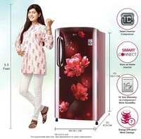 LG 215L 5 Star Inverter Direct-Cool Single Door Refrigerator (GL-B221ASCZ, Scarlet Charm, Fastest Ice Making) - Kathua Hiranagar, Credit & Debit Card Accepted