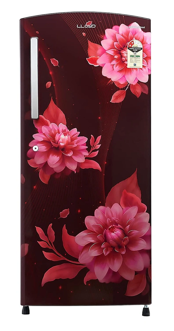 Lloyd 200 L 2 Star Direct Cool One Door Refrigerator  - Hiranagar Kathua Ghagwal, Credit & Debit Card Accepted