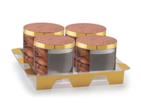 Rishabh Spiral 4 Multipurpose Set of Container with tray - Hiranagar