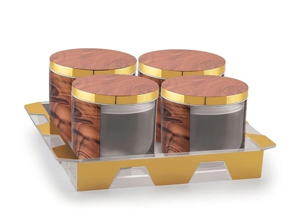 Rishabh Spiral 4 Multipurpose Set of Container with tray - Hiranagar