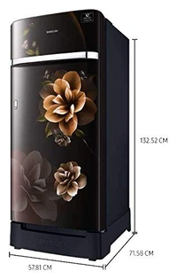 Samsung 198 L 5 Star Inverter Direct-Cool Single Door Refrigerator (RR21T2H2WCB/HL, Camellia Black, Base Stand with Drawer) - Credit & Debit Card Accepted, 3-5 Days