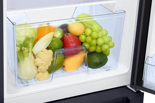 Samsung 198 L 5 Star Inverter Direct-Cool Single Door Refrigerator (RR21T2H2WCB/HL, Camellia Black, Base Stand with Drawer) - Credit & Debit Card Accepted, 3-5 Days