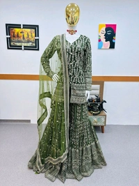 Fox Georgette Embroidery Siquince 