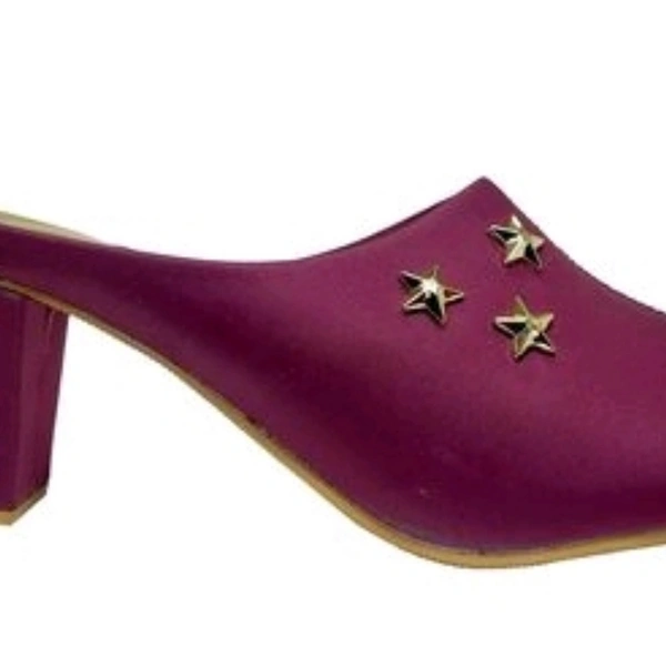 Graceful Women's Heels And Sandles