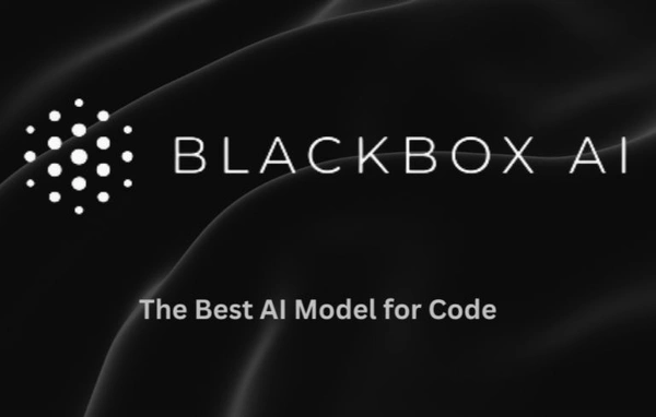 Blackbox Ai Business Plan 3 Month