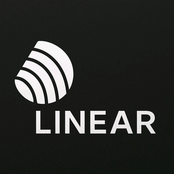 Linear Business Plan ( 12 Month )