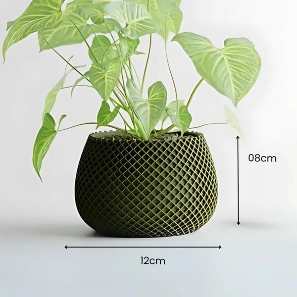 Modern Ribbed CrissCross Planter Pot - 08 cm, Green Pea