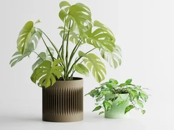 Modern Ribbed Center Pot