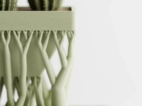 Organic Rectangular Planter - 10 cm, Green Pea