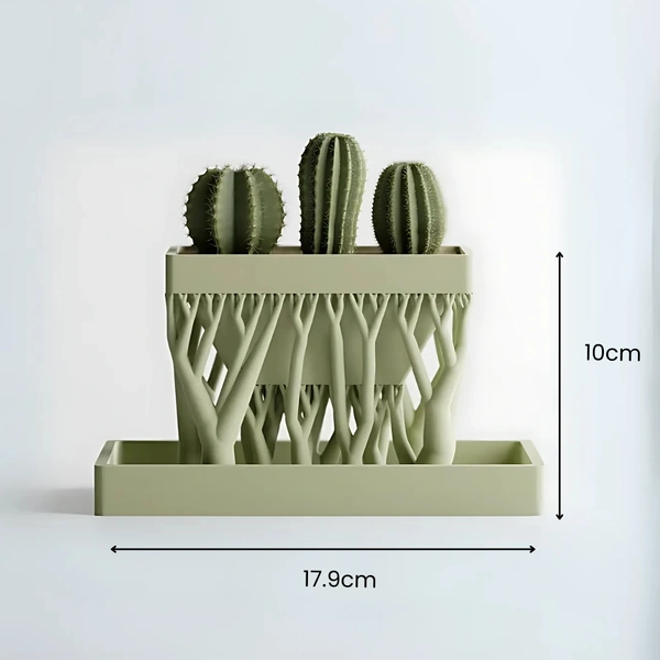 Organic Rectangular Planter - 10 cm, Green Pea