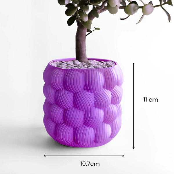 Wall Planter 1.11 (Bubble Style) - 11 cm, Purple