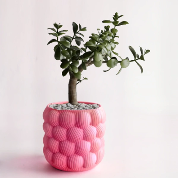 Styra Wall Planter 1.11 (Bubble Style) - 11 cm, Radical Red