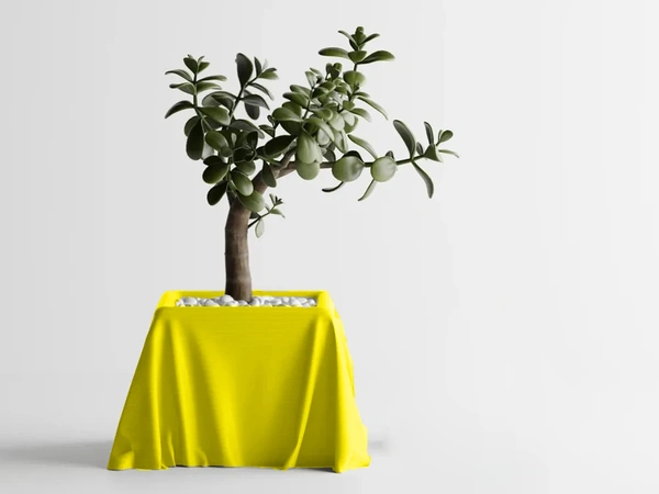 Silk Cloth Pot - 10 cm, Yellow