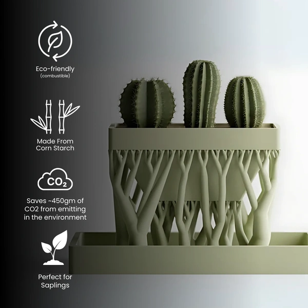 Organic Rectangular Planter - 10 cm, Green Pea
