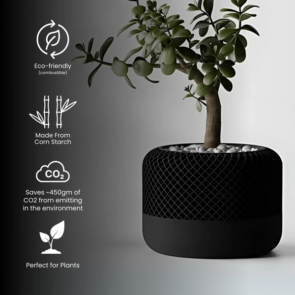Modern Apple Home Pot - 08 cm, Black