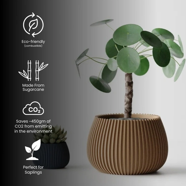 Modern Ribbed Straight Planter Pot - 08 cm, New Orleans