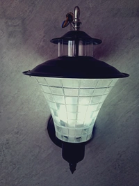 Jalwa Outdoor Wall Light - Black