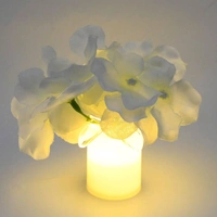 AVM COMBO LED Bed Light | Night Light