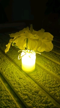 AVM COMBO LED Bed Light | Night Light