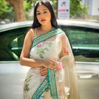 Pure Organza Digital Printed Saree - White with pista border, 5.5p mtrs
