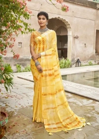 VALLABHI GSR000167 - 5.50METRES